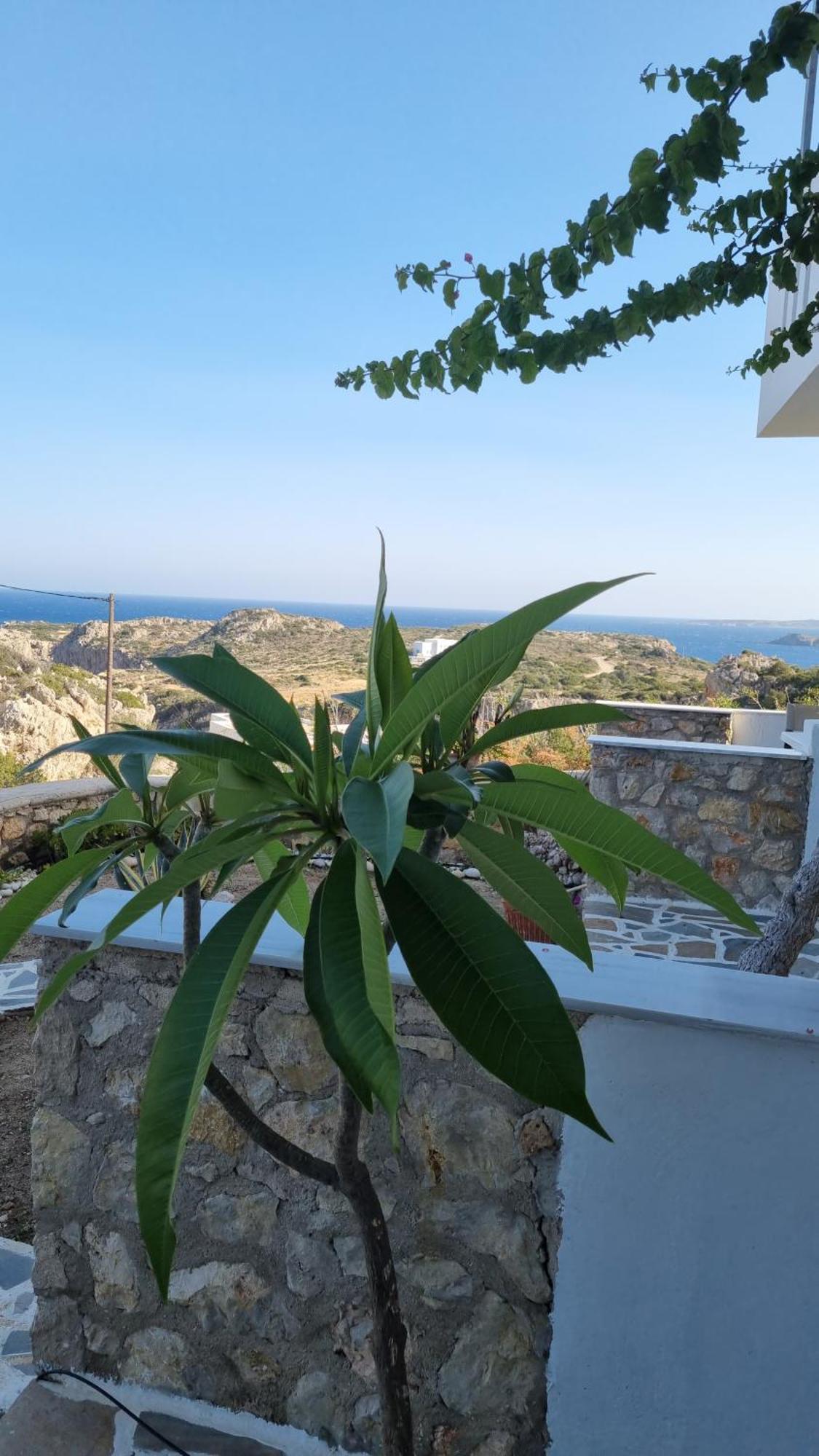 Studios Nina Amoopi Rom bilde